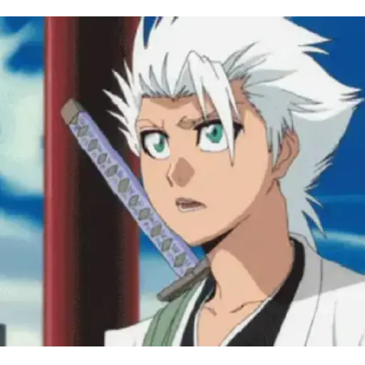 Bleach (Anime) 16