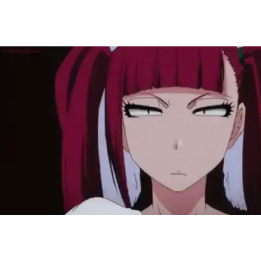 Bleach (Anime) 17