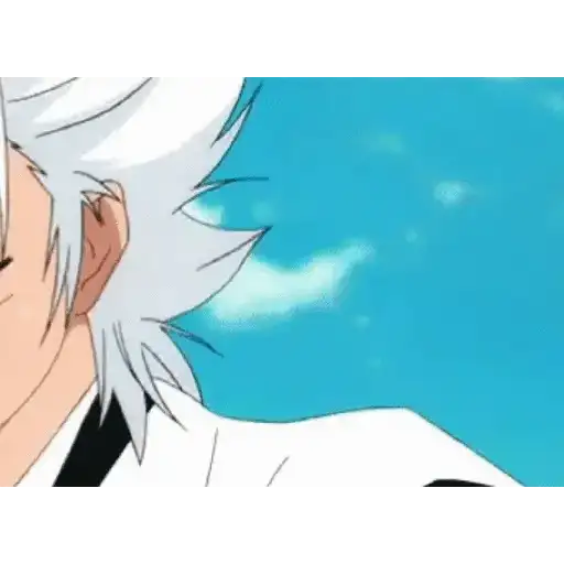 Bleach (Anime) 12