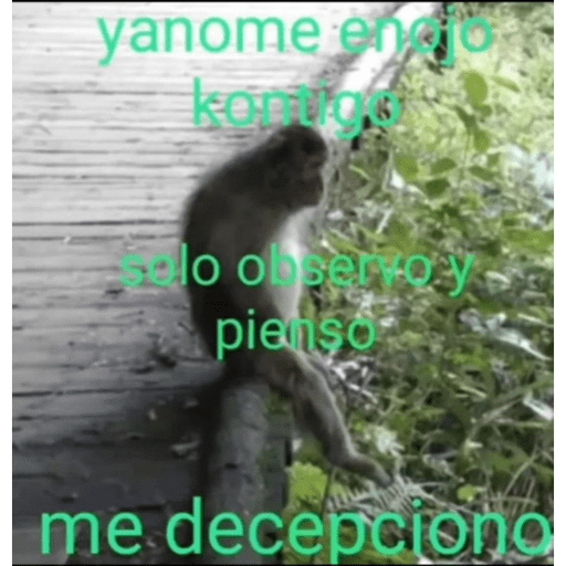 Random0.1 !  17