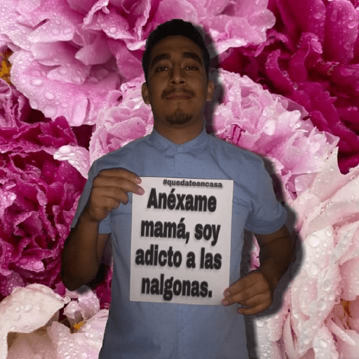 Varios 4