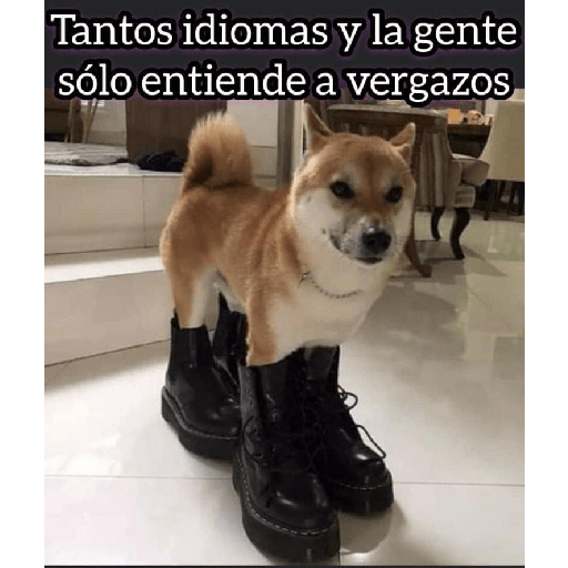 Varios 15