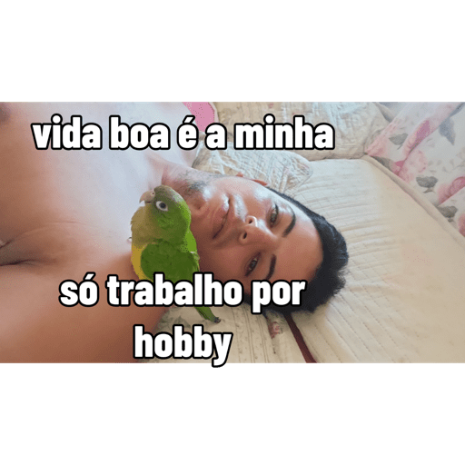 Minhas figurinhas 11