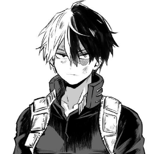 Shoto Todoroki-Manga 17