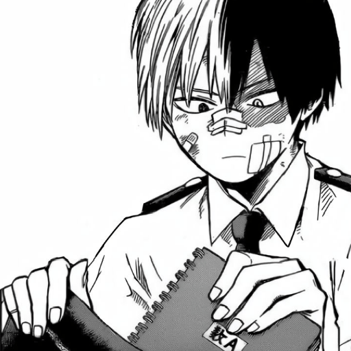 Shoto Todoroki-Manga 14