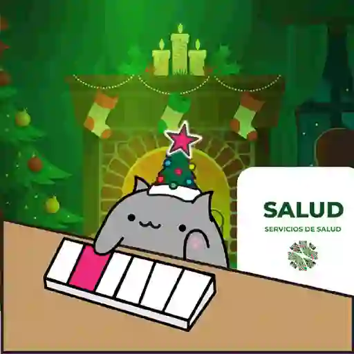 Navidad Saludable  1