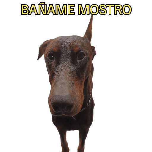 Sticker Image