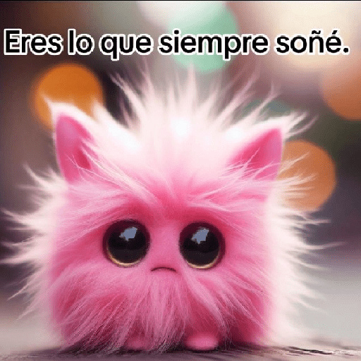 Frases cute💖 26