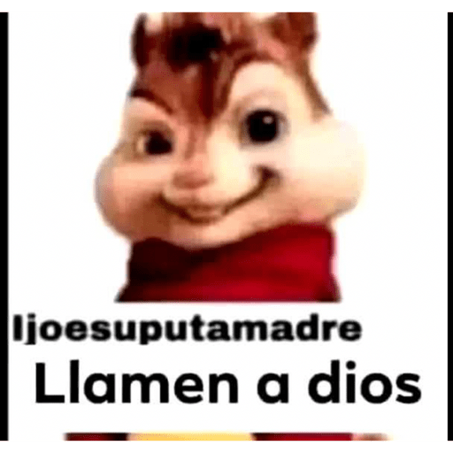 Ola 8
