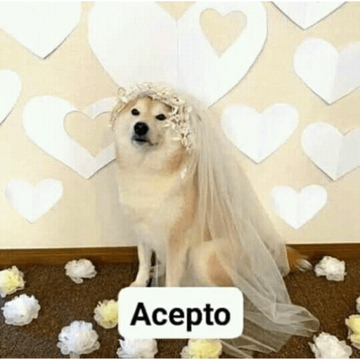 Ola 3