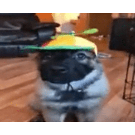 Ola 25