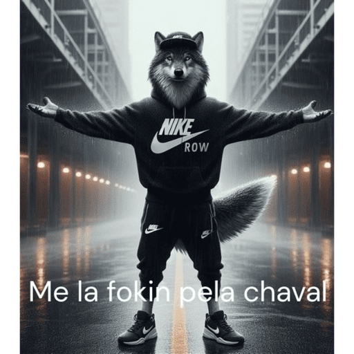 Ola 26