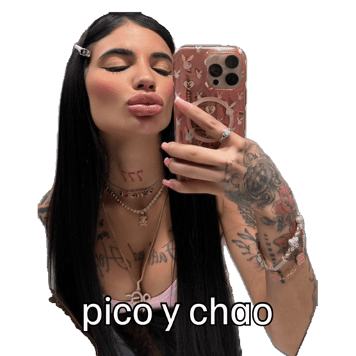 Chim 13