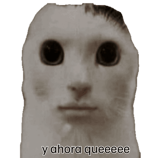 Chim 6