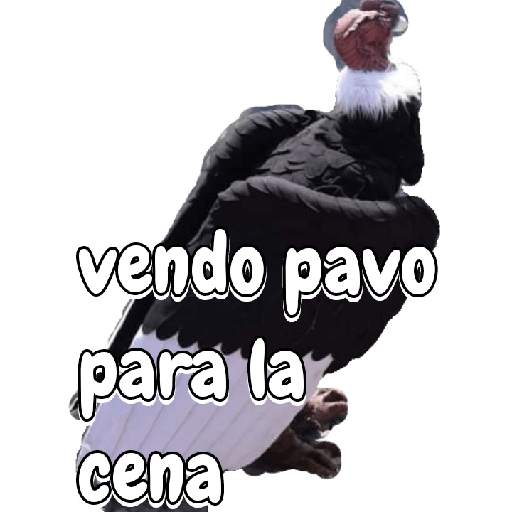 Jodas y mas 4