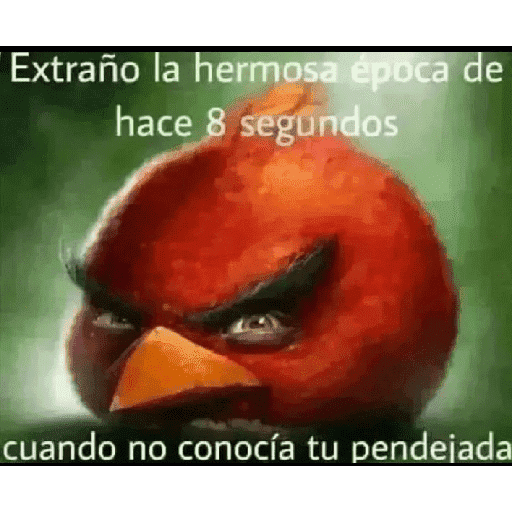 Si lees esto mátate 10