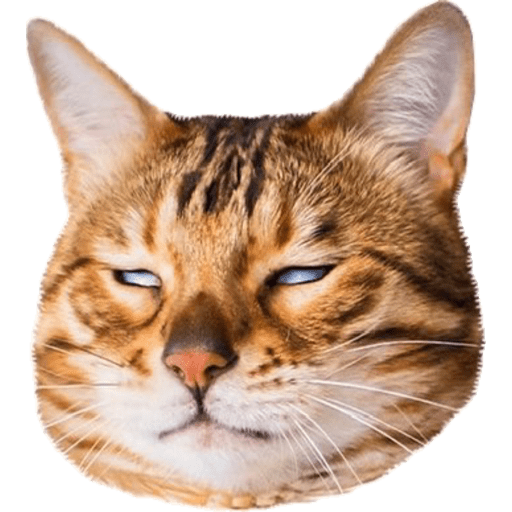 98d15e7b-8759-4fa6-bdfb-33bb6b0eea1c.png