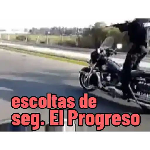 Mis animados 25