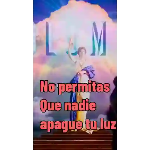 Mis animados 9