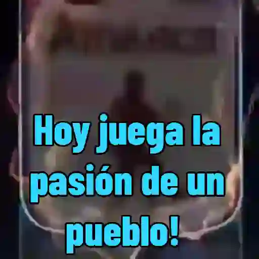 Mis animados 2