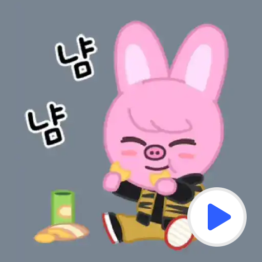 SKZOO KAKAOTALK