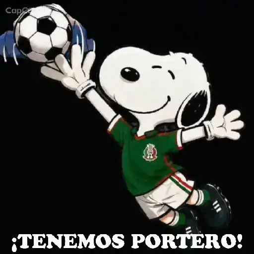 Mundial 19