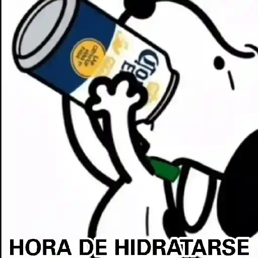 Mundial 21