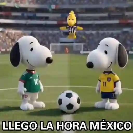 Mundial 12