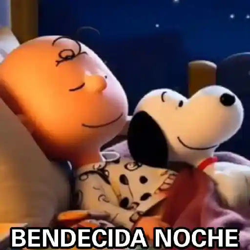 Mundial 29