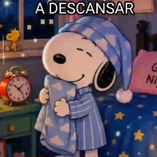 Mundial 24