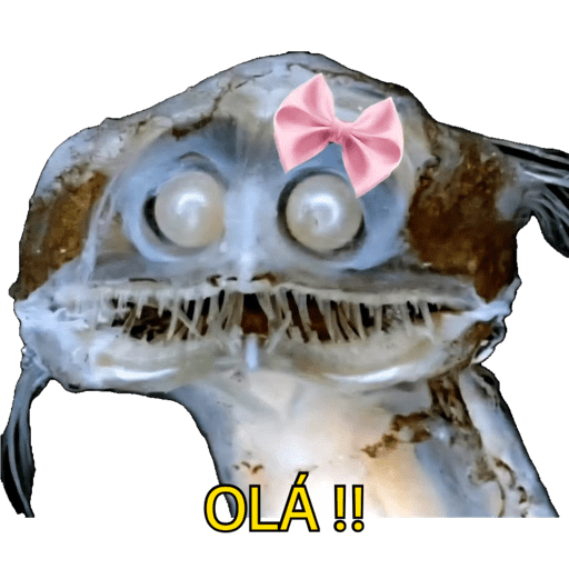 Agora vai  15