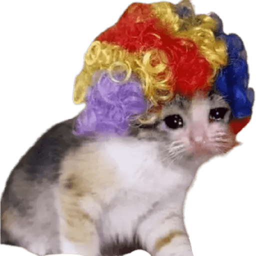 Gatito triste 20