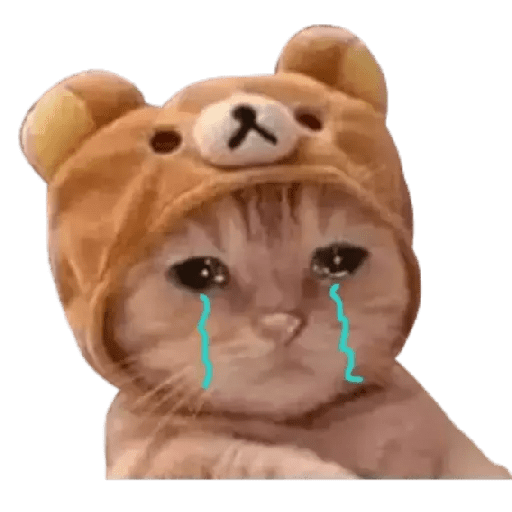 Gatito triste 18