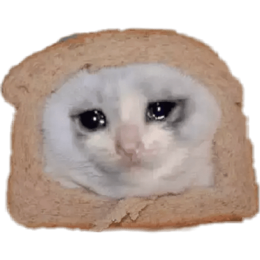Gatito triste 22