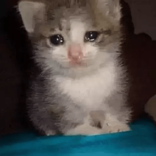 Gatito triste 11