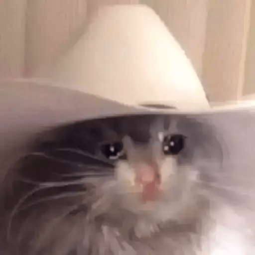 Gatito triste 9