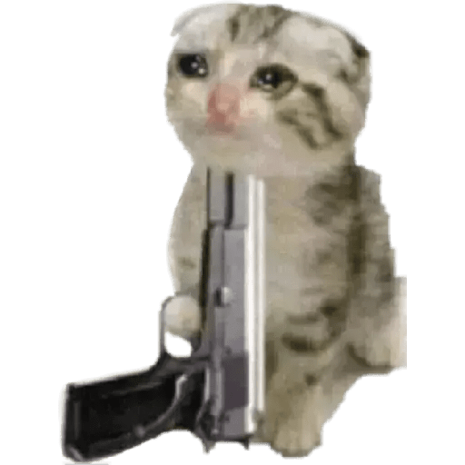 Gatito triste 21
