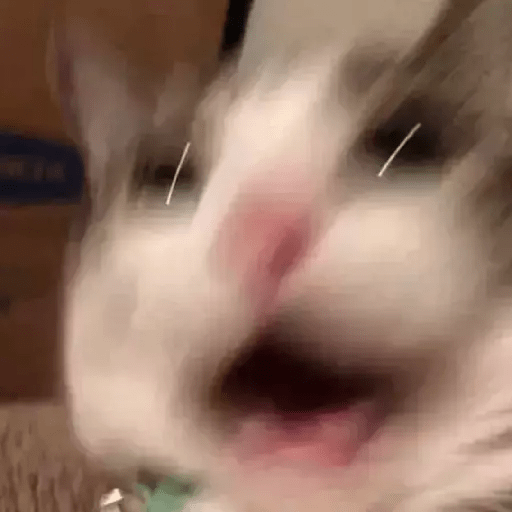 Gatito triste 5