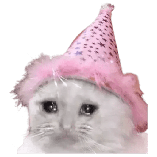 Gatito triste 19