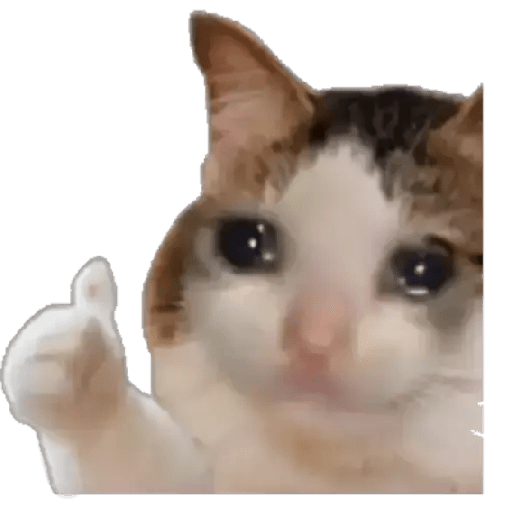 Gatito triste 15