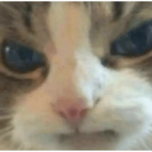 Gatos 18