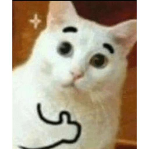 Gatos 5