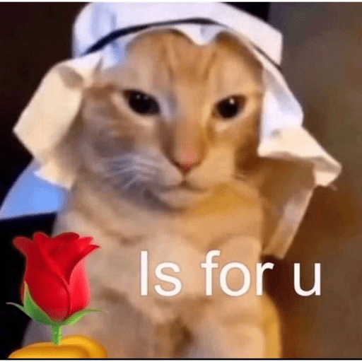 Gatos 2