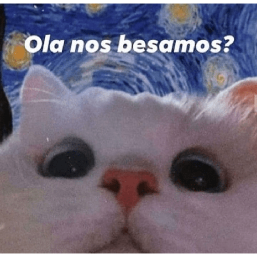 Divertidos 23