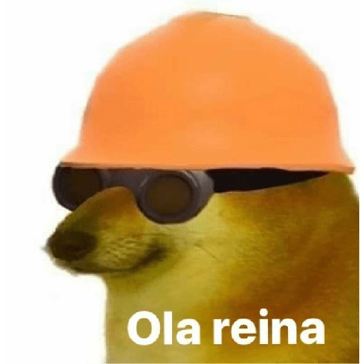Divertidos 19
