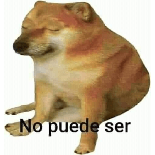 Divertidos 4