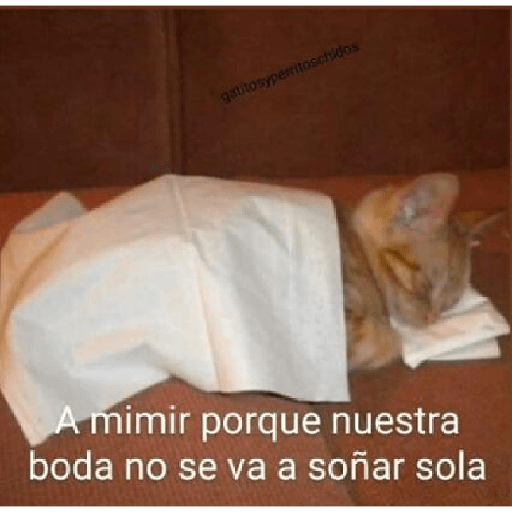 Divertidos 21