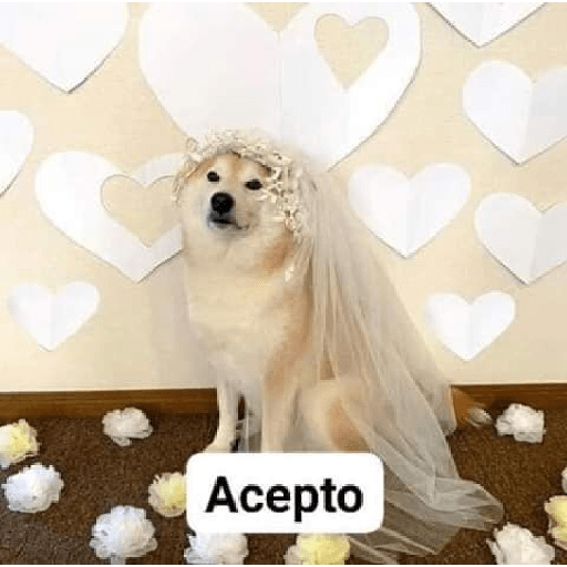 Divertidos 7