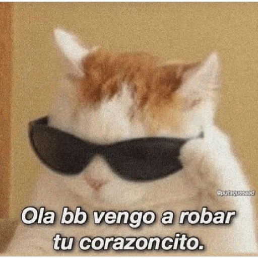 Divertidos 17