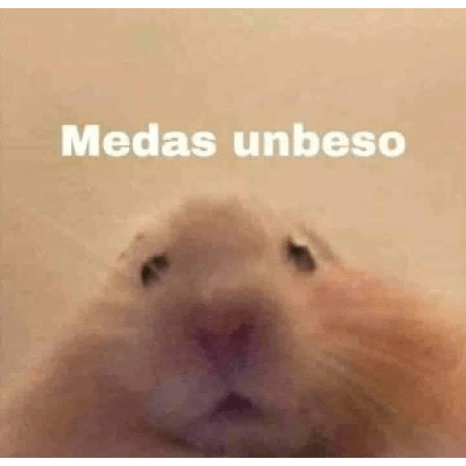 Divertidos 24